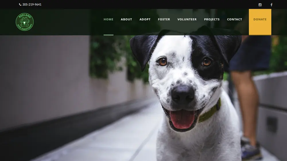 Redland Dog Sanctuary website homepage